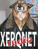 XERQNET Radio