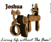 Joshua Series